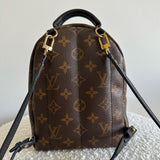 Louis Vuitton Palm Springs Mini