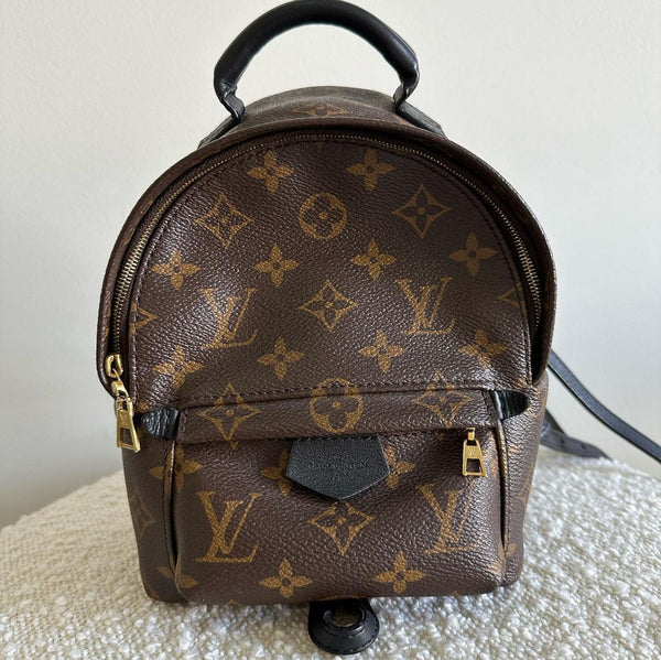 Louis Vuitton Palm Springs Mini