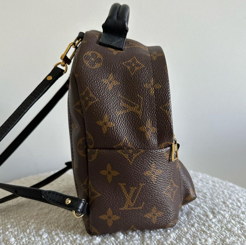 Louis Vuitton Palm Springs Mini