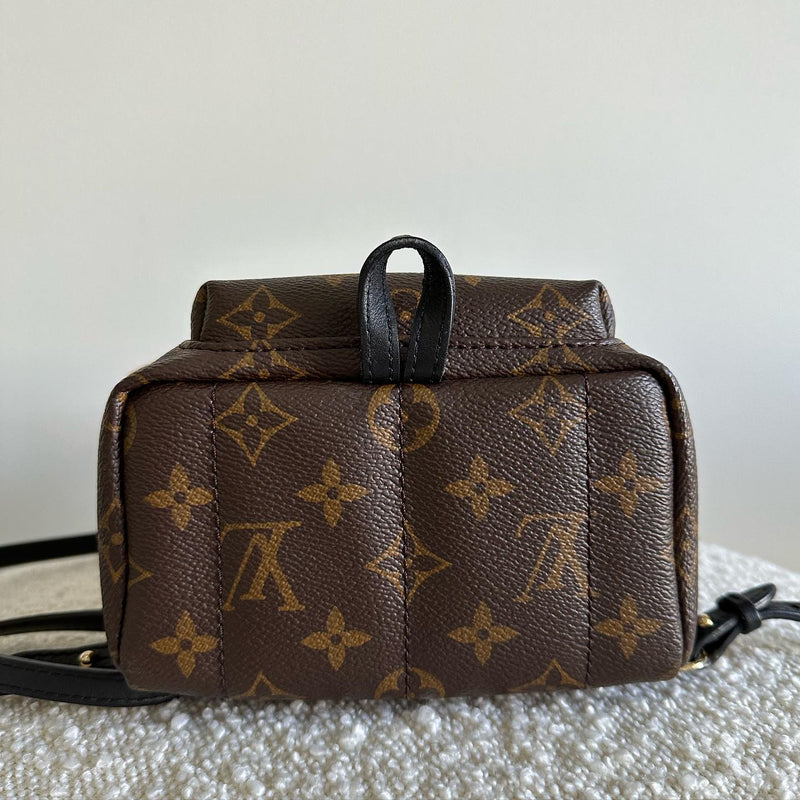 Louis Vuitton Palm Springs Mini