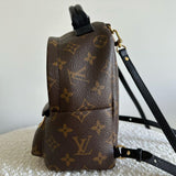 Louis Vuitton Palm Springs Mini